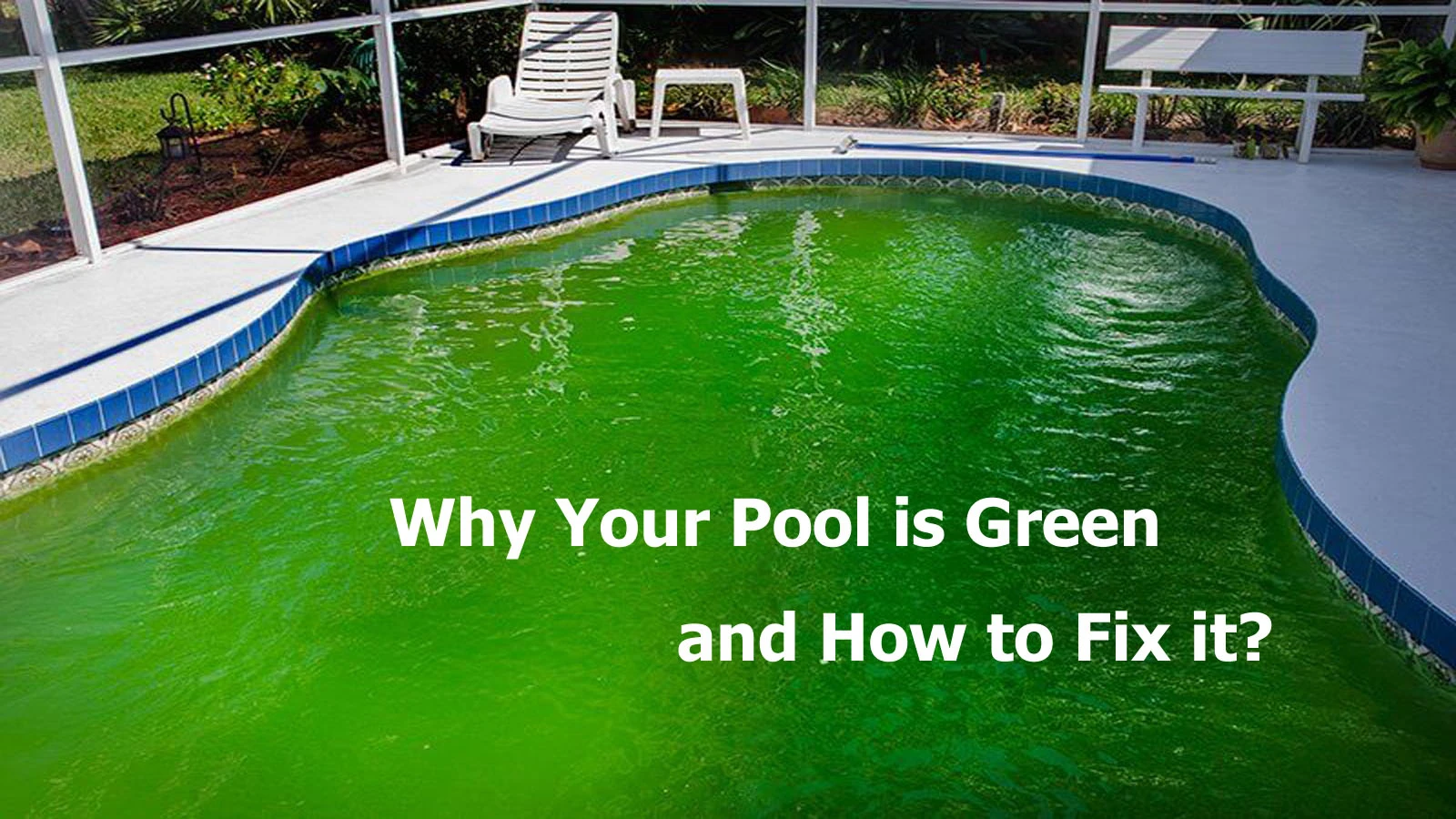 news-green pool-09301 news-green pool-09301